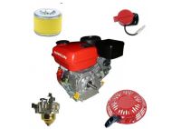 Repuestos y motores gasolina 2 y 4 tiempos